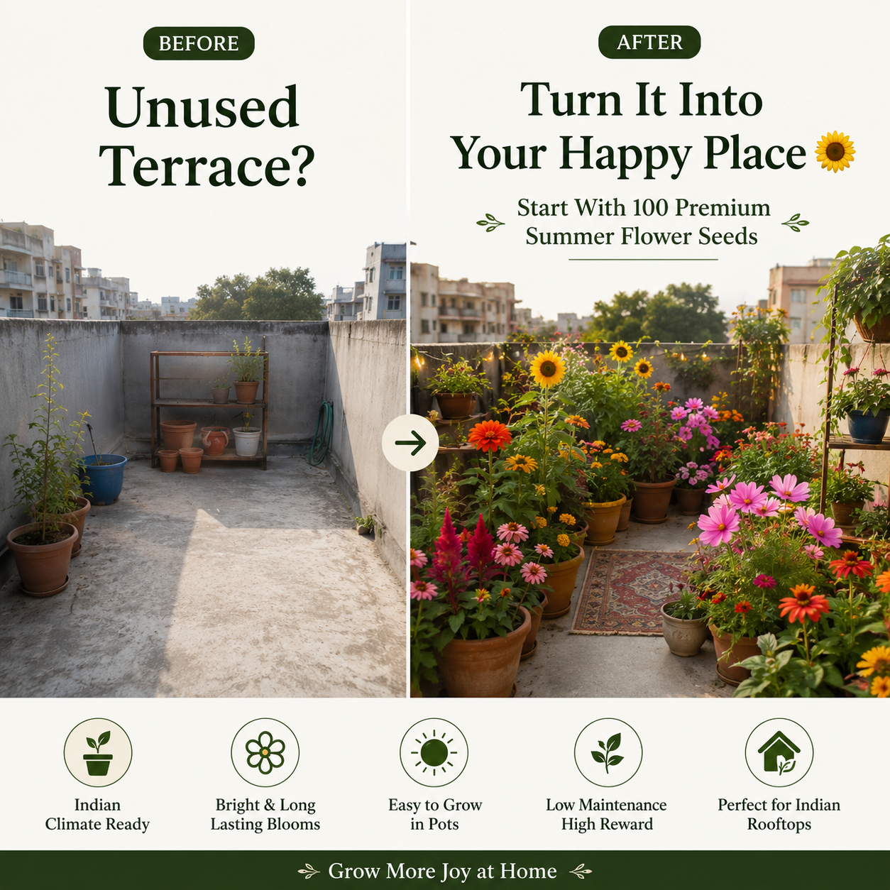 TSC Summer Mix Seed Combo – 10 Summer Varieties | 100 Seeds Pack