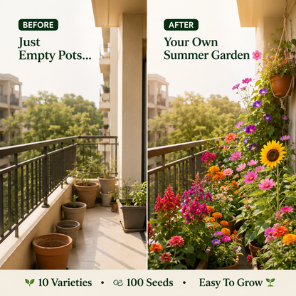 TSC Summer Mix Seed Combo – 10 Summer Varieties | 100 Seeds Pack