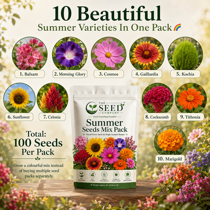 TSC Summer Mix Seed Combo – 10 Summer Varieties | 100 Seeds Pack
