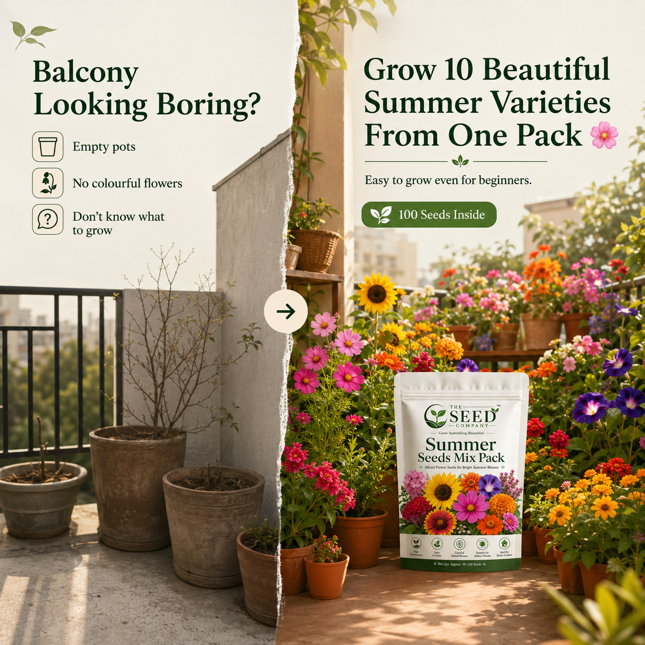 TSC Summer Mix Seed Combo – 10 Summer Varieties | 100 Seeds Pack