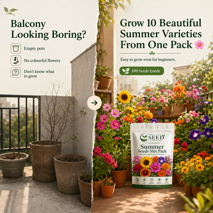 TSC Summer Mix Seed Combo – 10 Summer Varieties | 100 Seeds Pack
